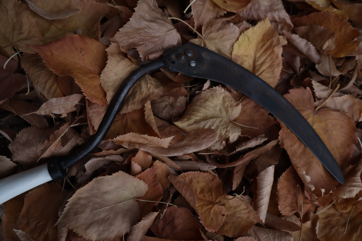 The Wolf of the Harvest Sickle