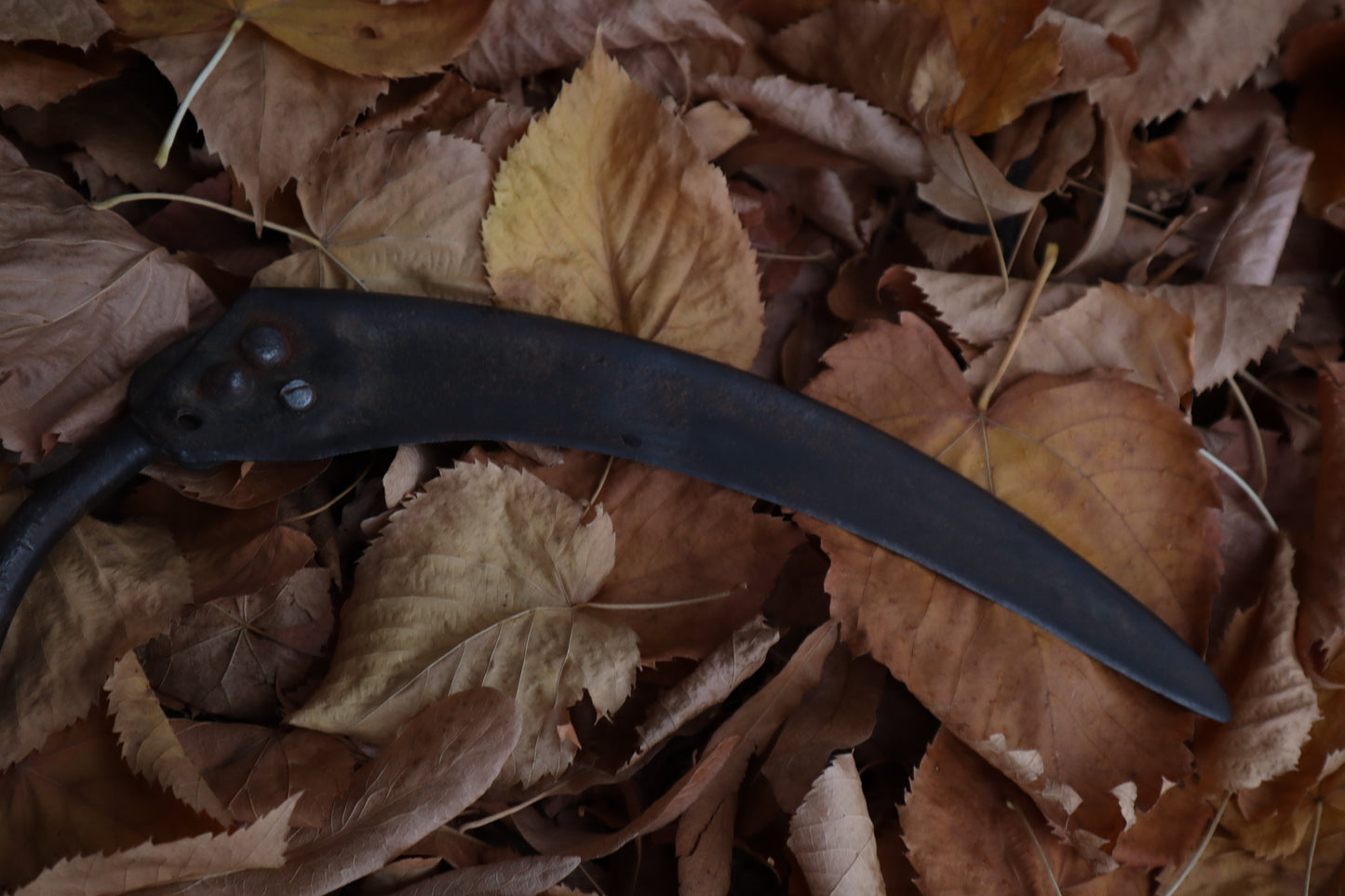 The Wolf of the Harvest Sickle