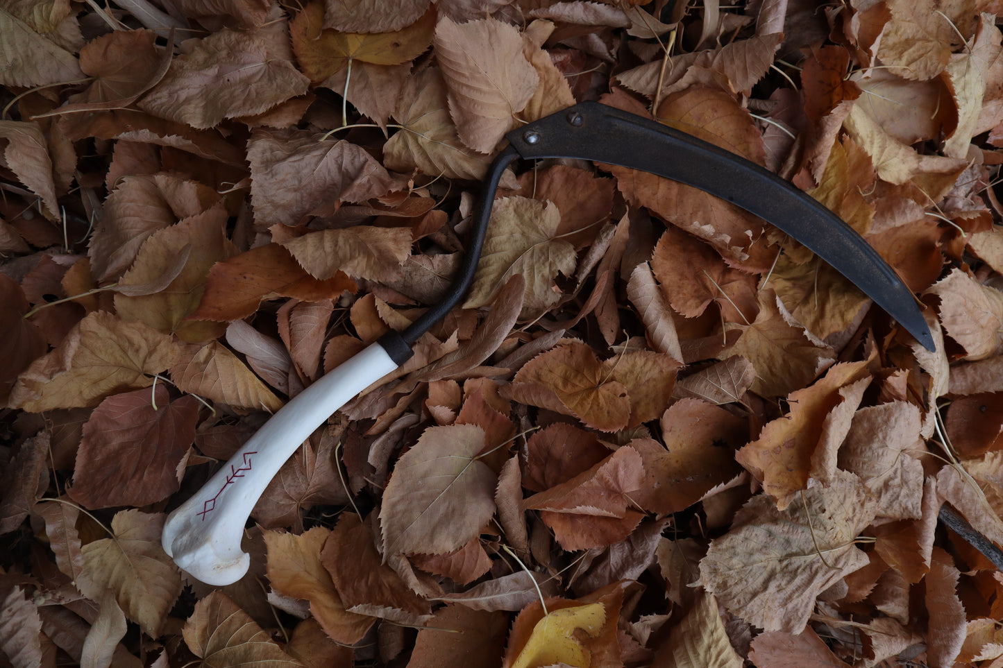 The Wolf of the Harvest Sickle