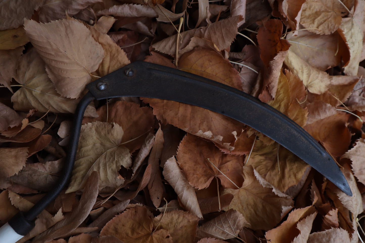 The Wolf of the Harvest Sickle