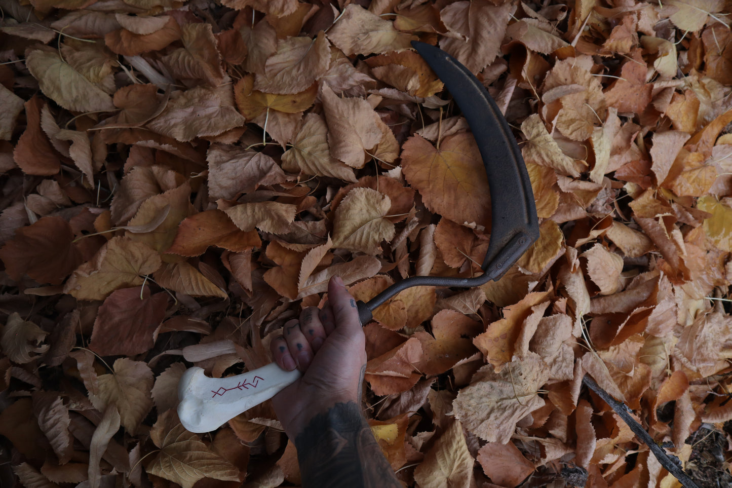 The Wolf of the Harvest Sickle