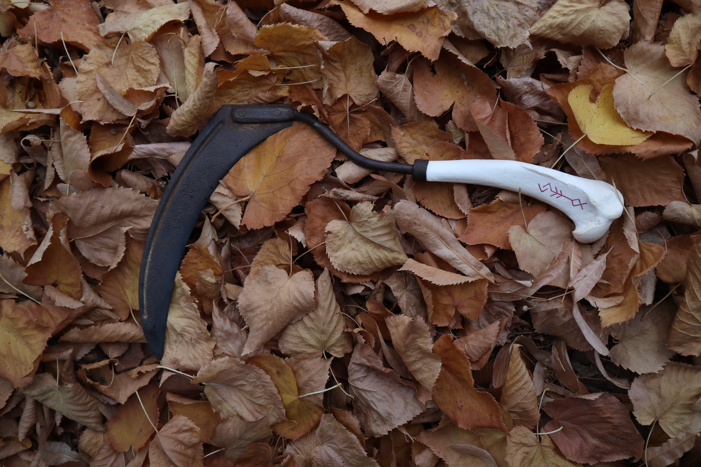The Wolf of the Harvest Sickle