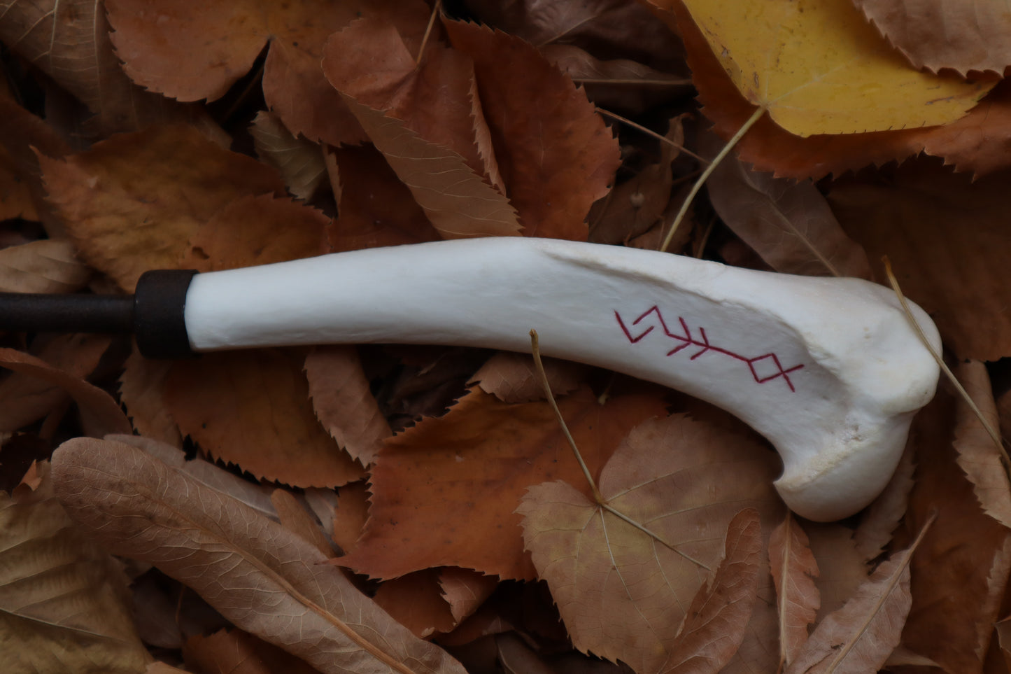 The Wolf of the Harvest Sickle