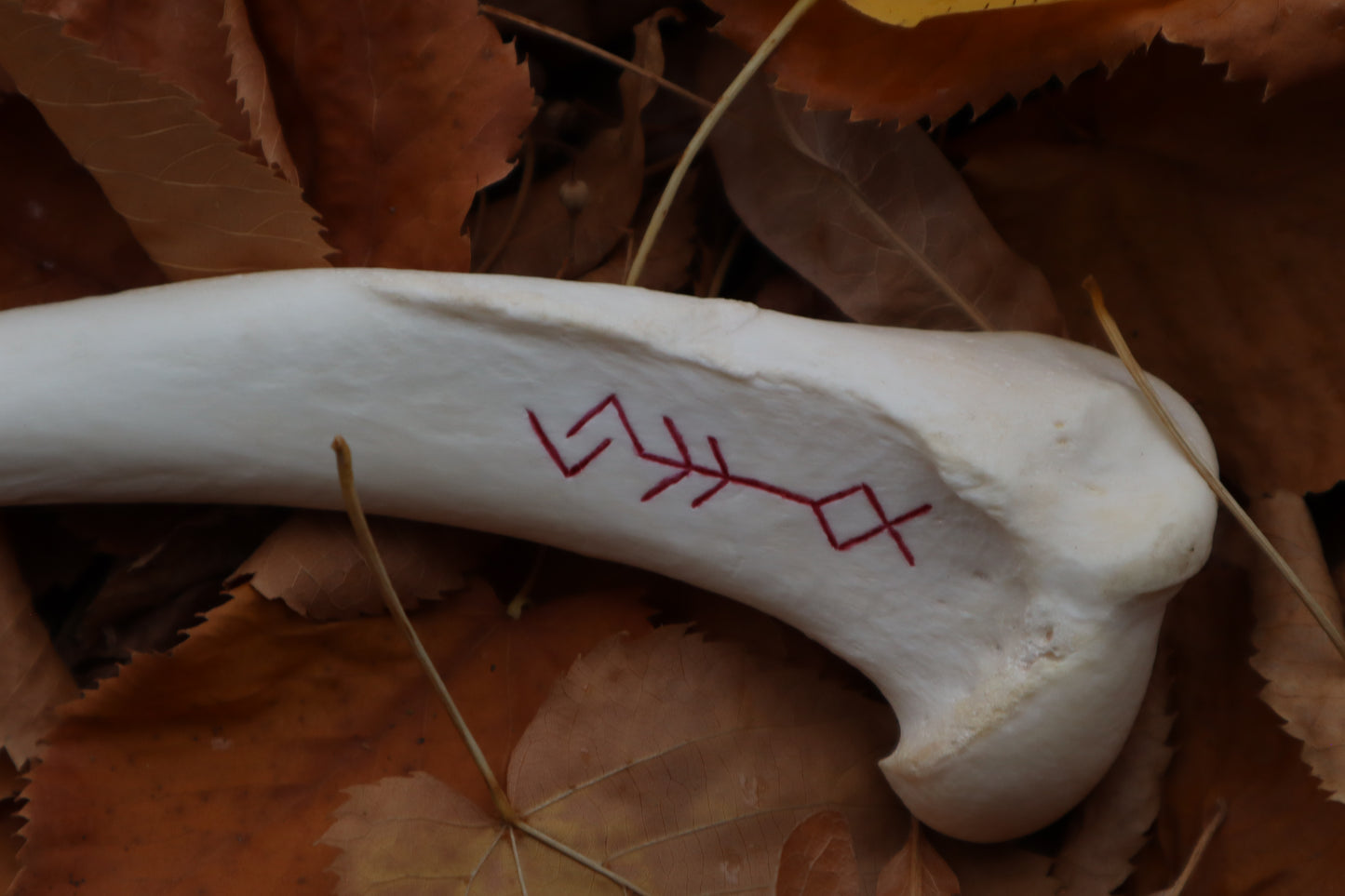 The Wolf of the Harvest Sickle
