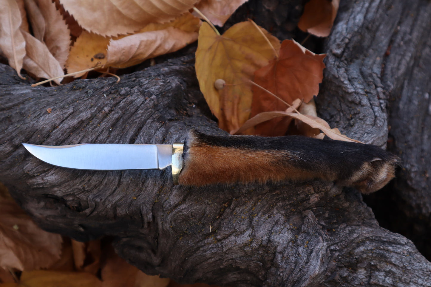 Red Fox Paw Knife