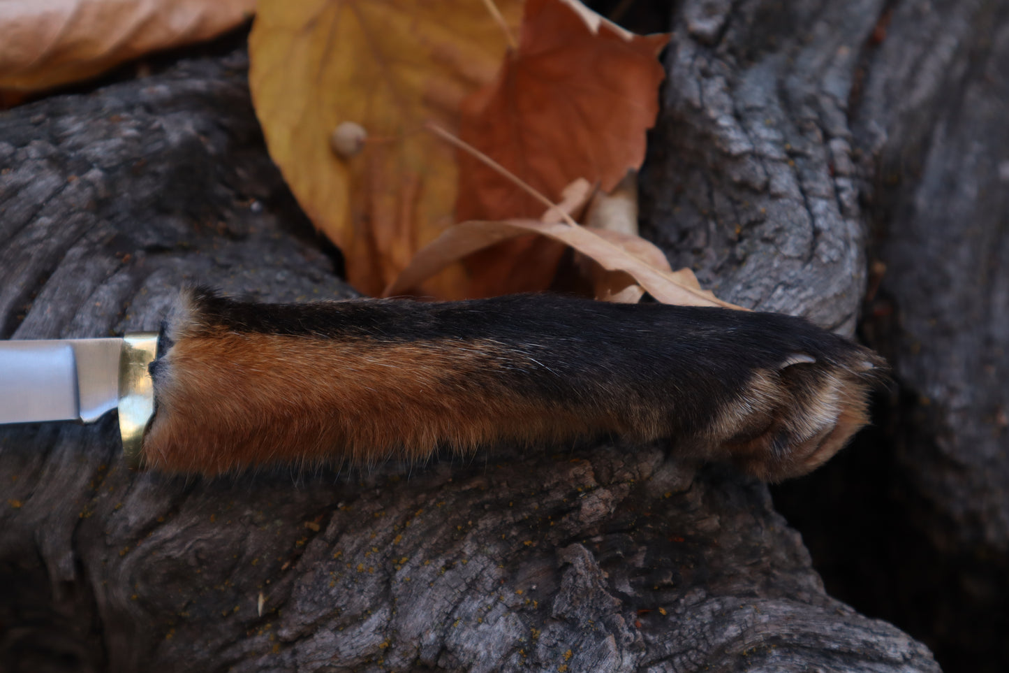Red Fox Paw Knife