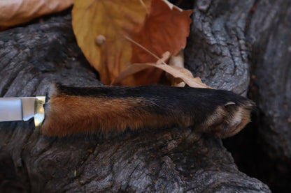 Red Fox Paw Knife