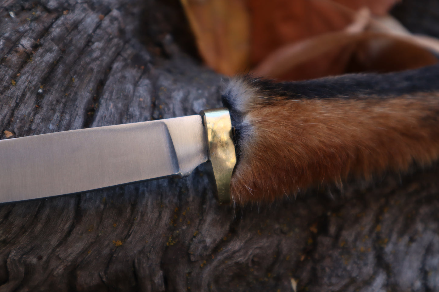 Red Fox Paw Knife