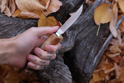 Red Fox Paw Knife
