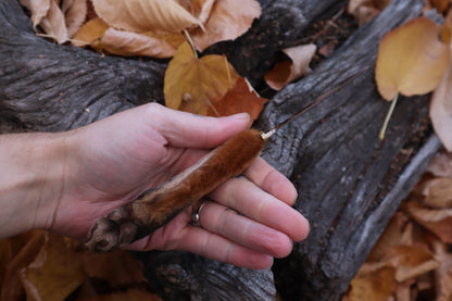 Red Fox Paw Knife