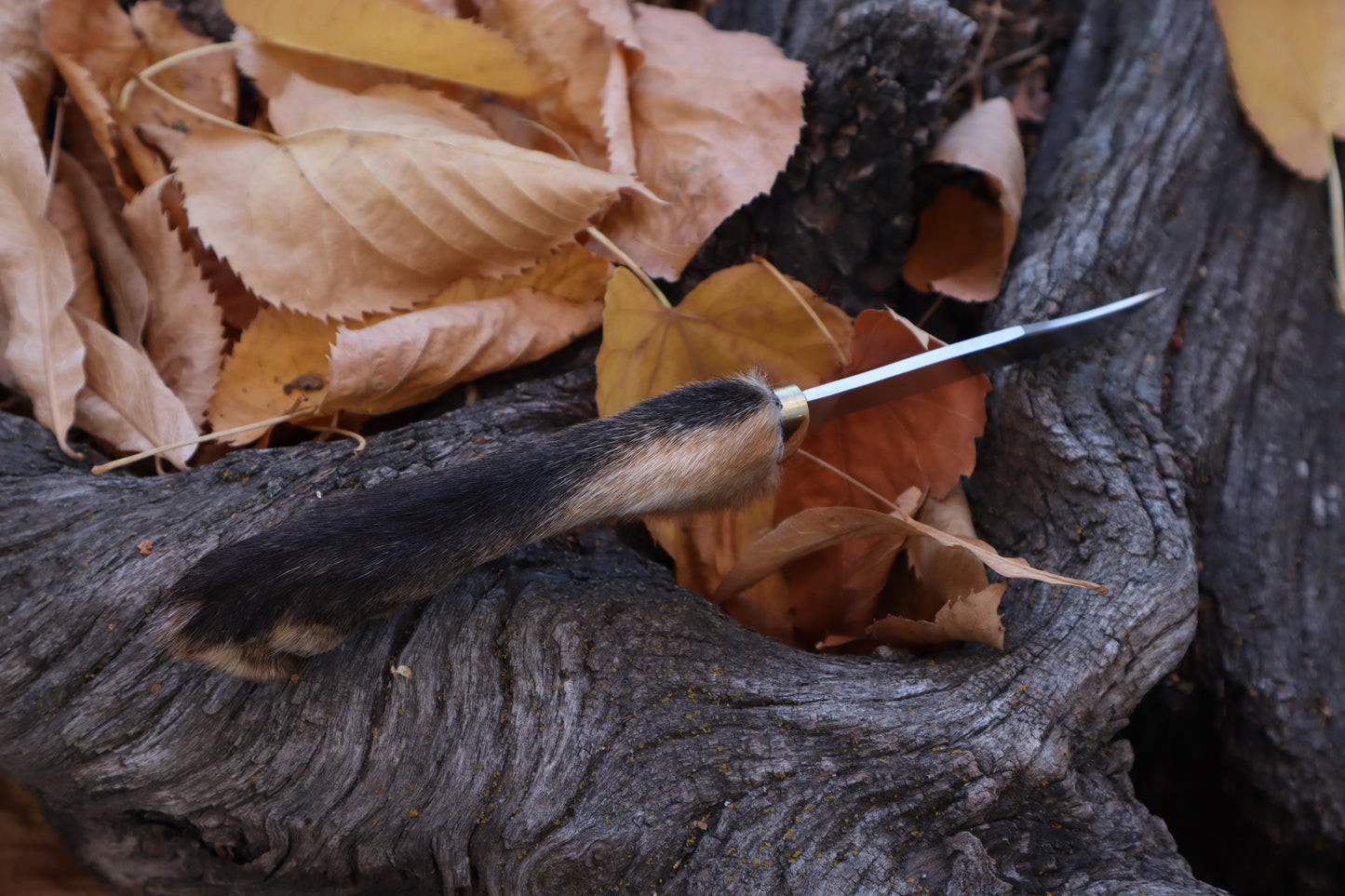 Red Fox Paw Knife
