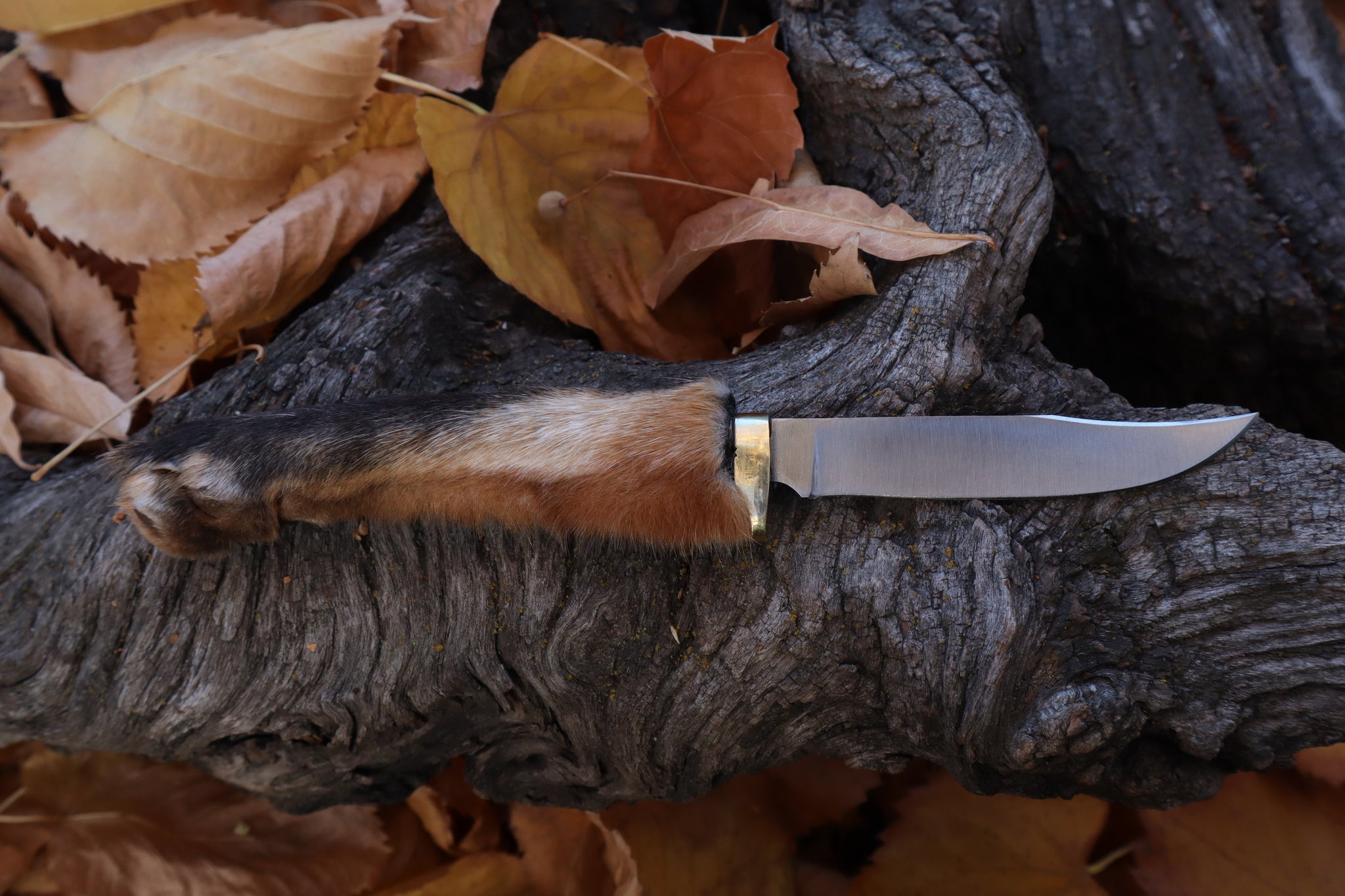 Red Fox Paw Knife