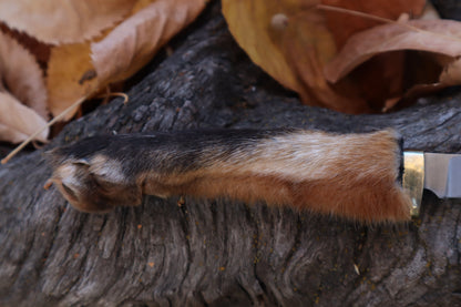 Red Fox Paw Knife