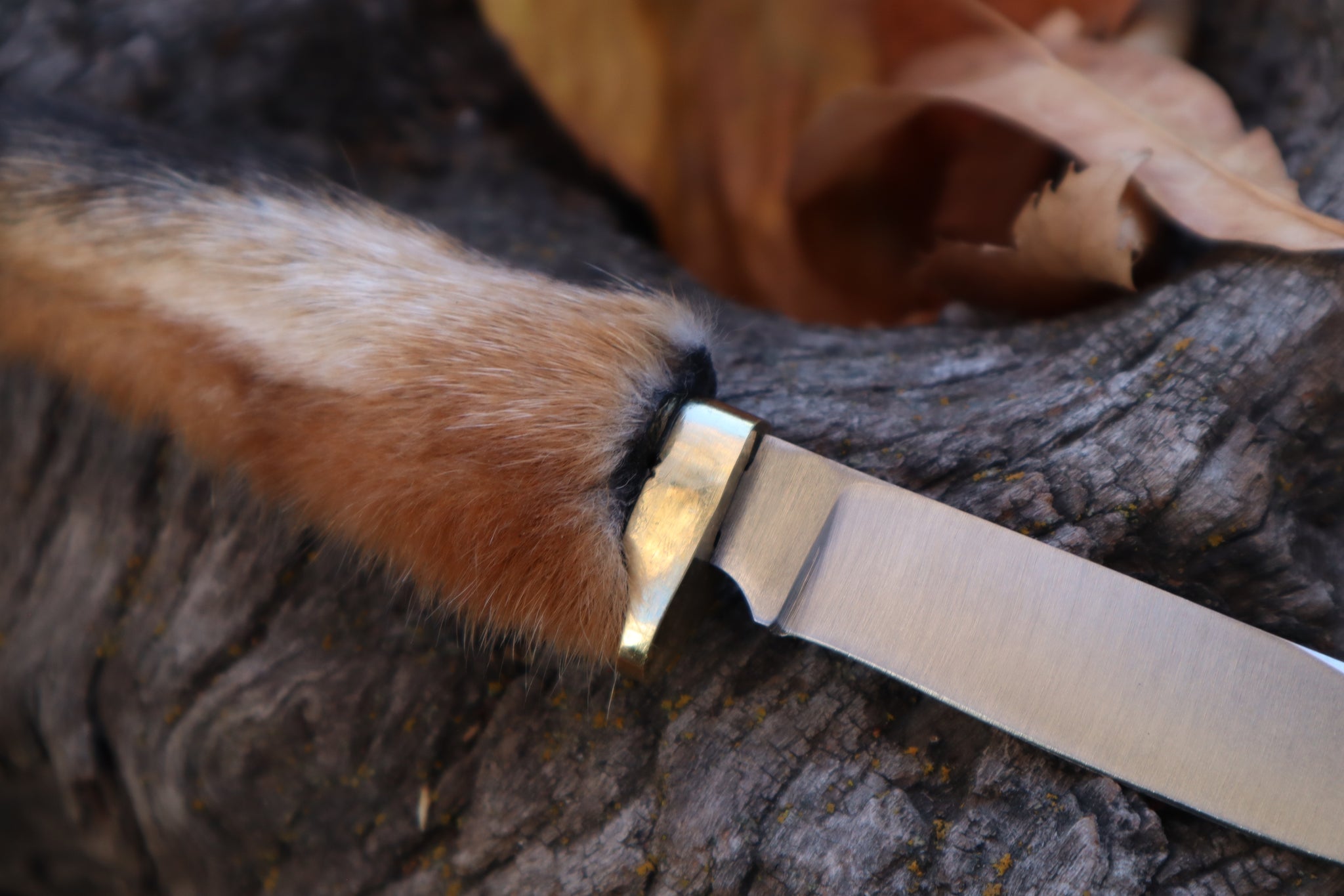 Red Fox Paw Knife