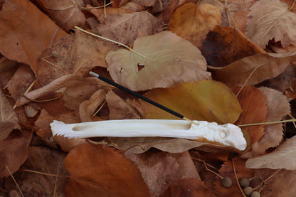 Forest Spirit Whitetail Deer Bone Incense Burner