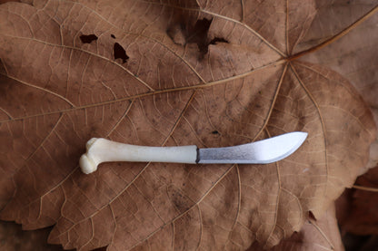 Kitten Femur Knife