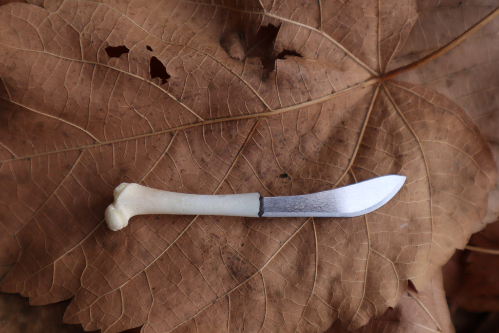 Kitten Femur Knife