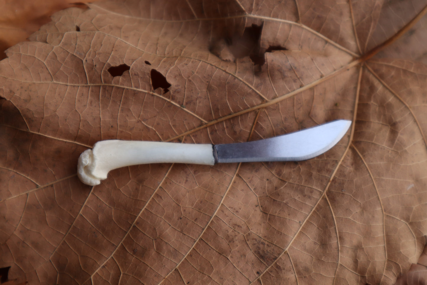 Reserved for Sammy - Kitten Humerus Knife