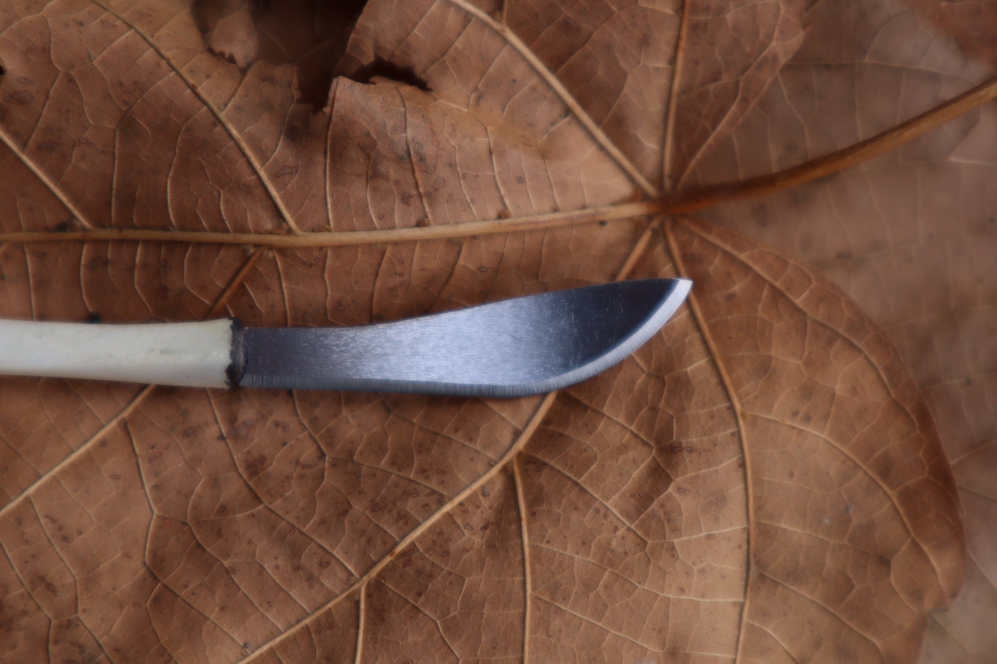 Kitten Tibia Knife