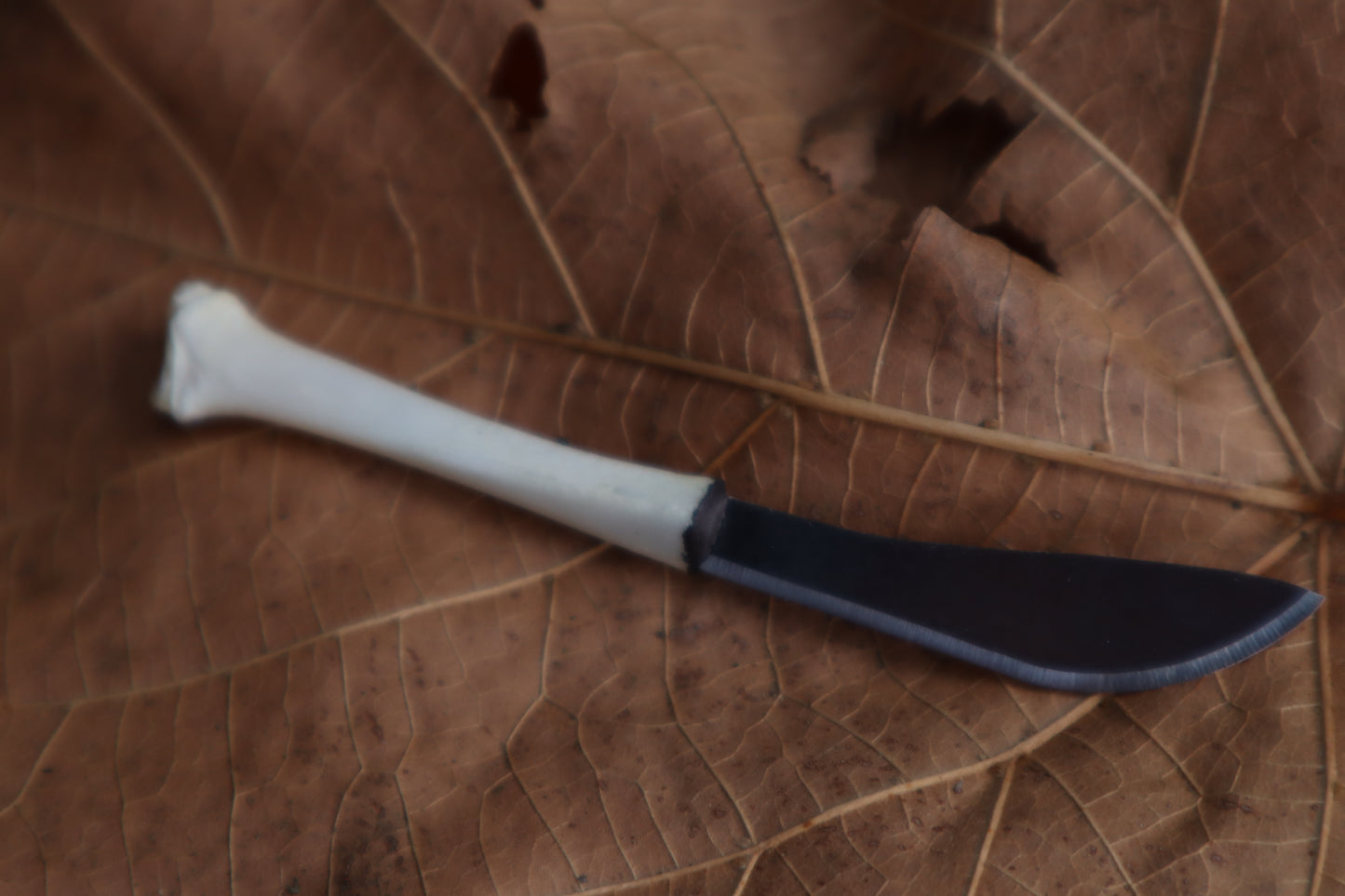 Kitten Tibia Knife