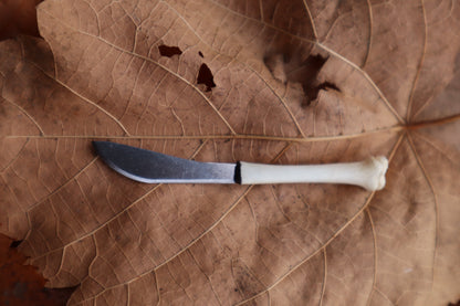 Kitten Tibia Knife