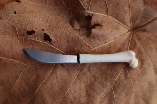 Kitten Femur Knife