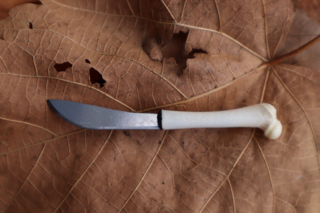 Kitten Femur Knife