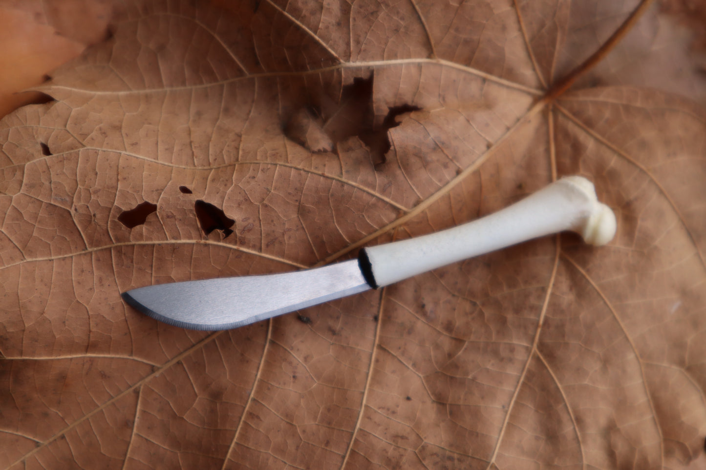 Kitten Femur Knife