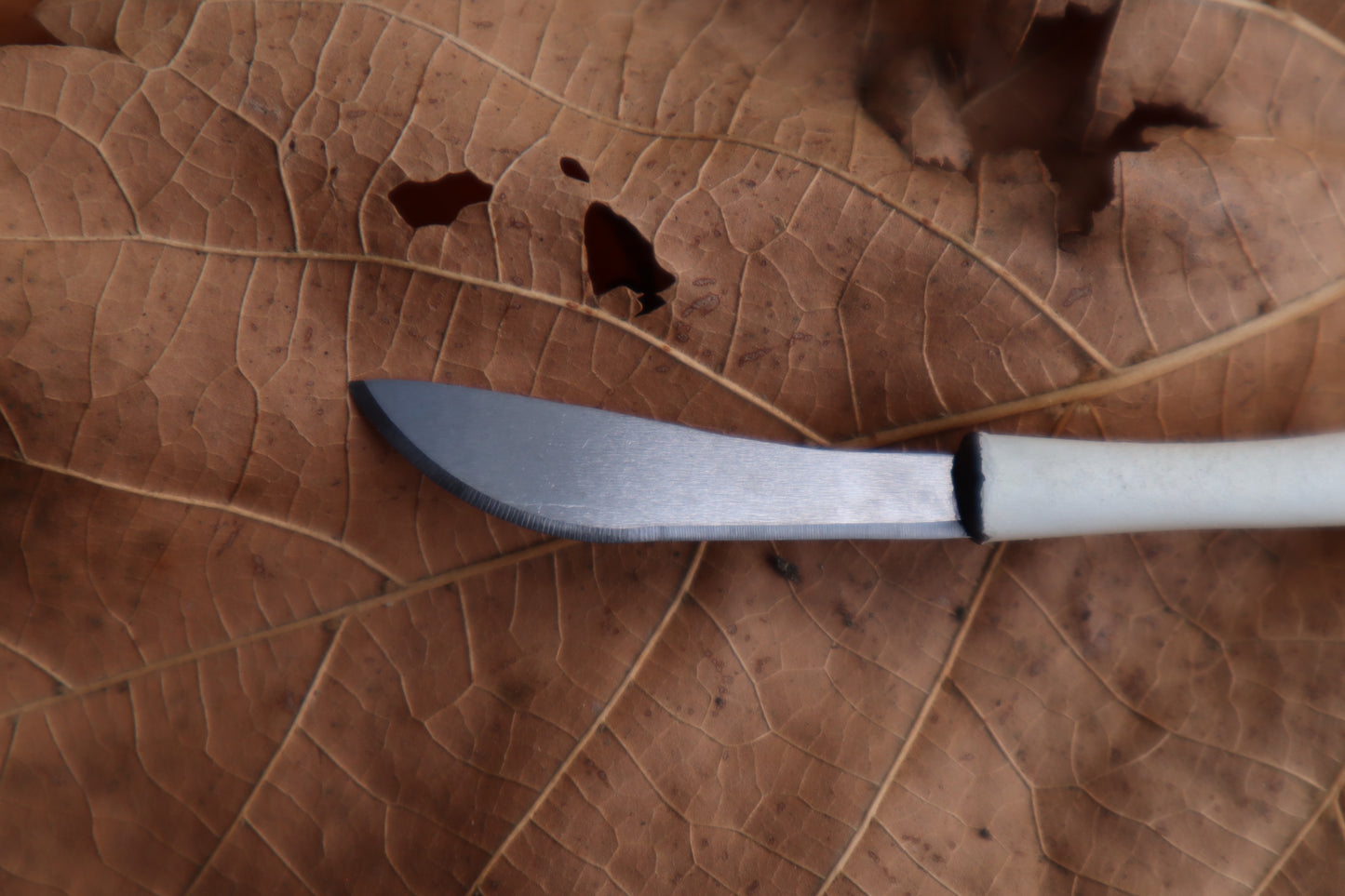 Kitten Femur Knife