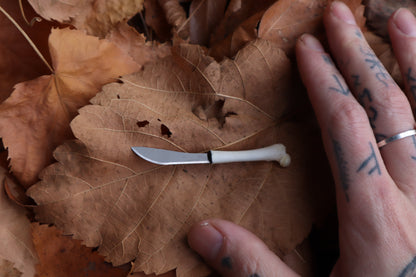 Kitten Femur Knife