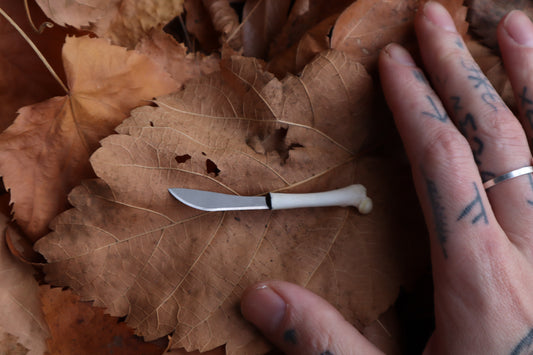 Kitten Femur Knife
