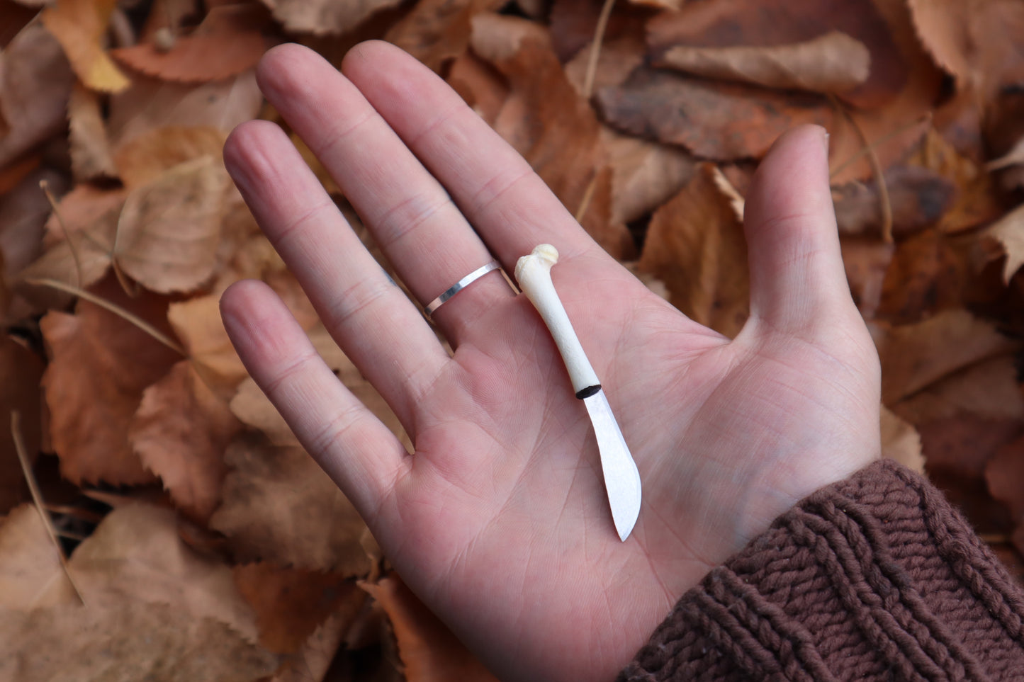 Kitten Femur Knife