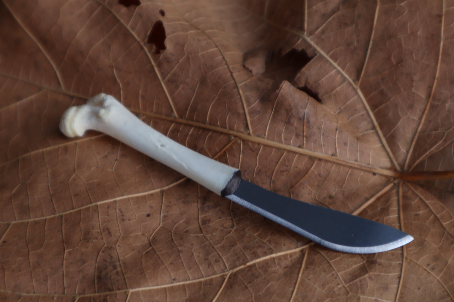 Kitten Femur Knife