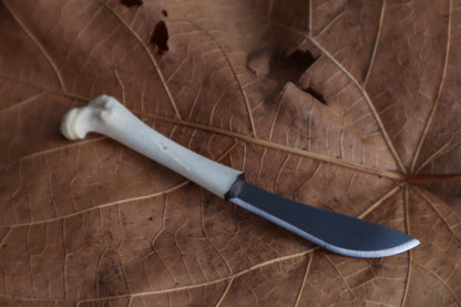 Kitten Femur Knife