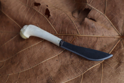 Kitten Humerus Knife