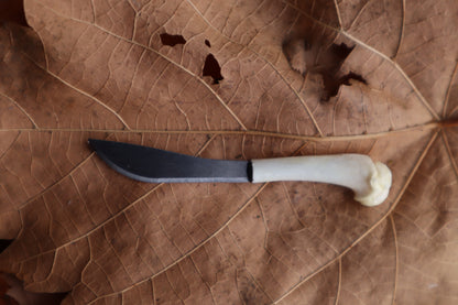 Kitten Humerus Knife
