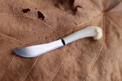 Kitten Humerus Knife