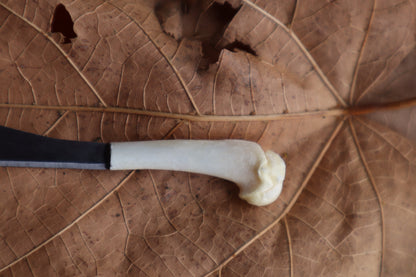 Kitten Humerus Knife