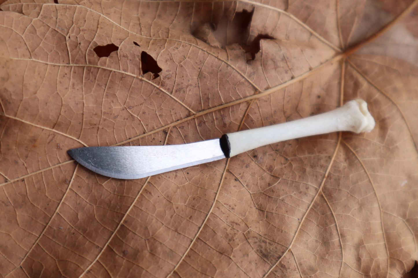 Kitten Tibia Knife