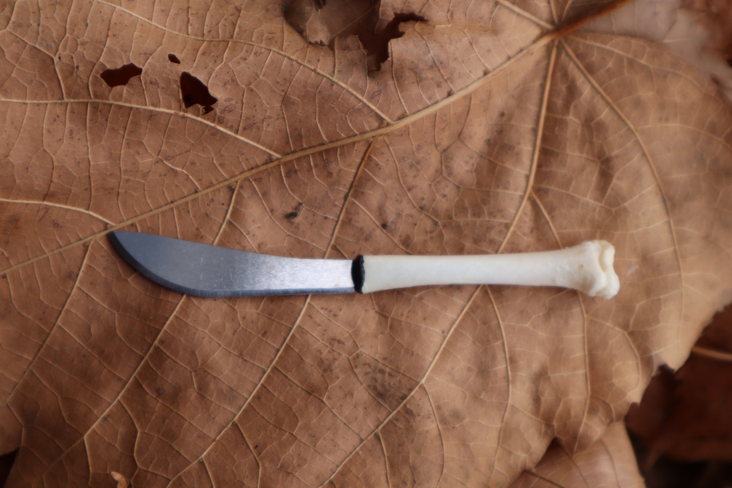 Kitten Tibia Knife