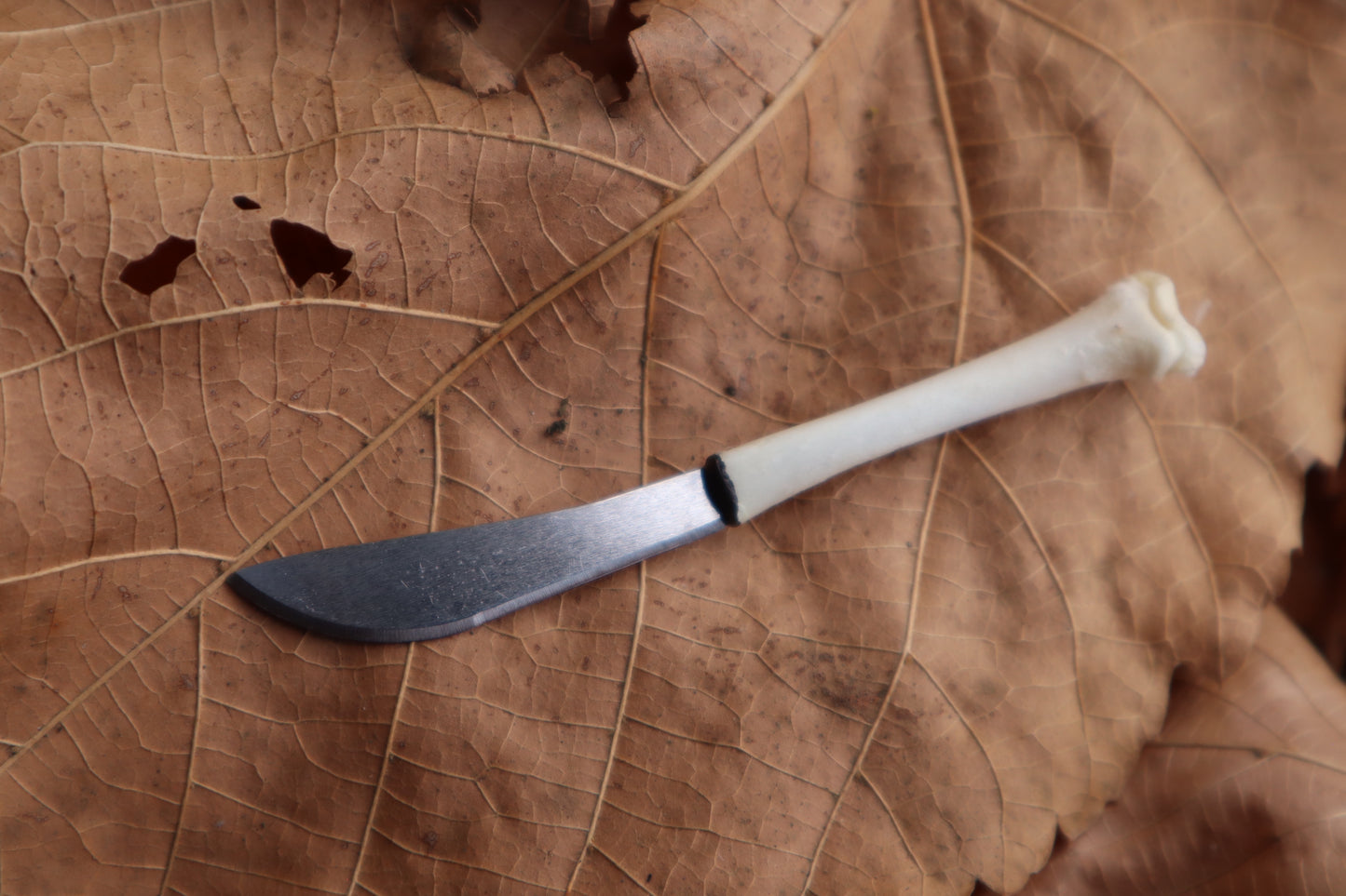Kitten Tibia Knife