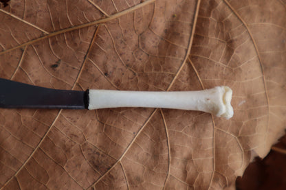 Kitten Tibia Knife