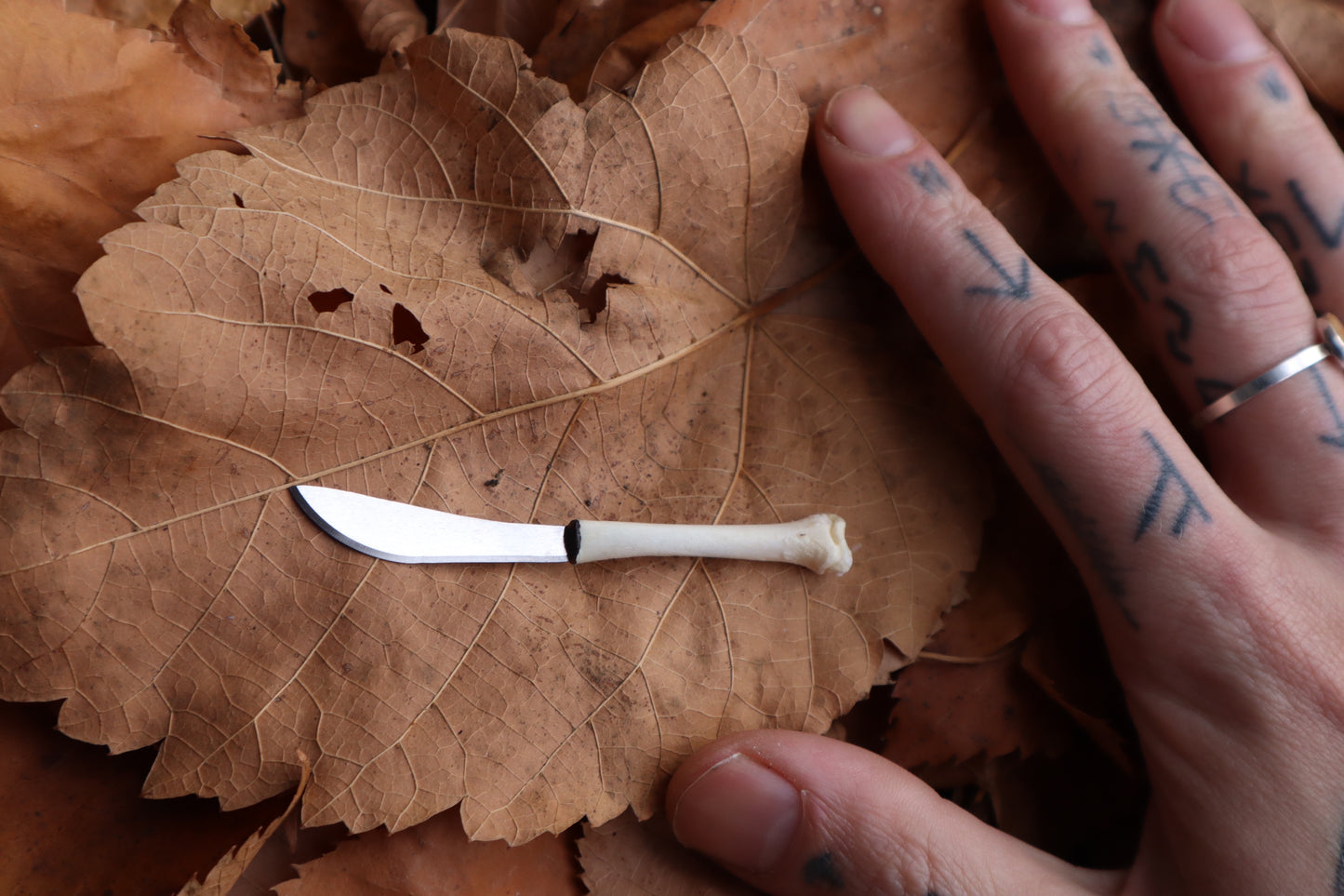 Kitten Tibia Knife