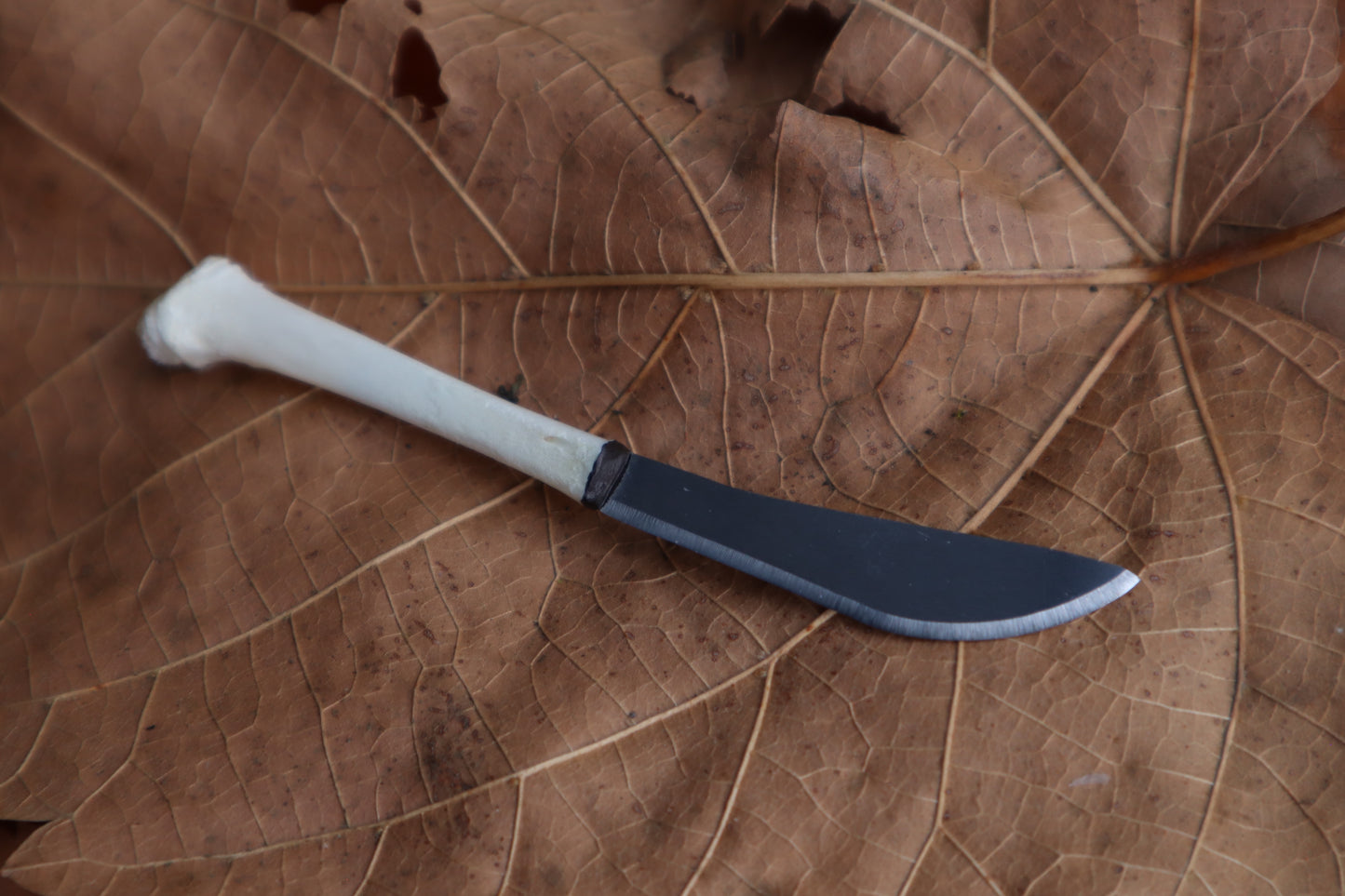 Kitten Tibia Knife