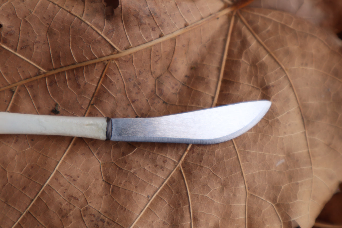 Kitten Tibia Knife