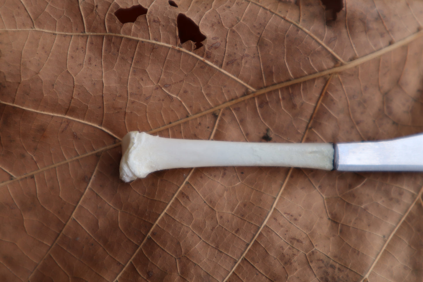 Kitten Tibia Knife