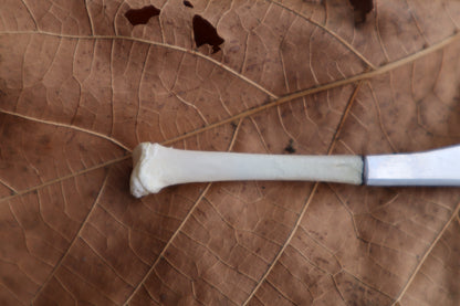 Kitten Tibia Knife