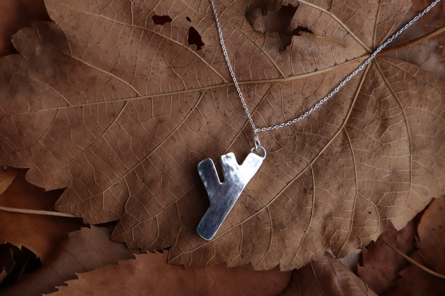 Fehu Wolf Bone and Silver Talisman