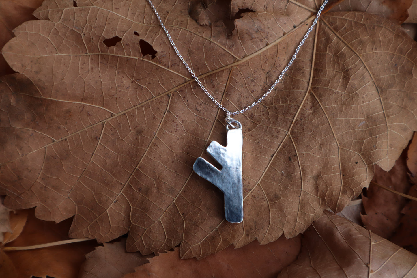 Fehu Wolf Bone and Silver Talisman