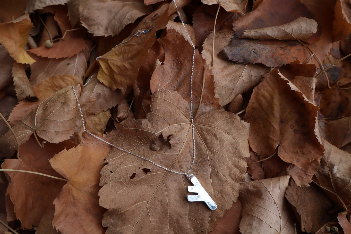Fehu Wolf Bone and Silver Talisman